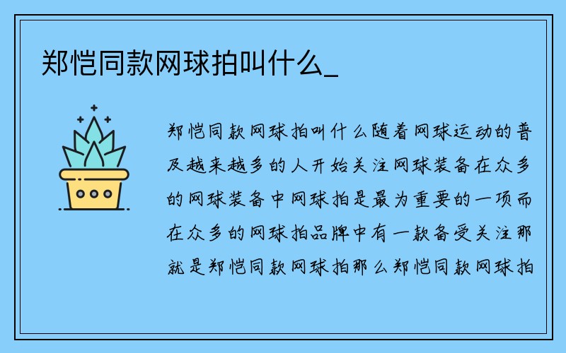 郑恺同款网球拍叫什么_