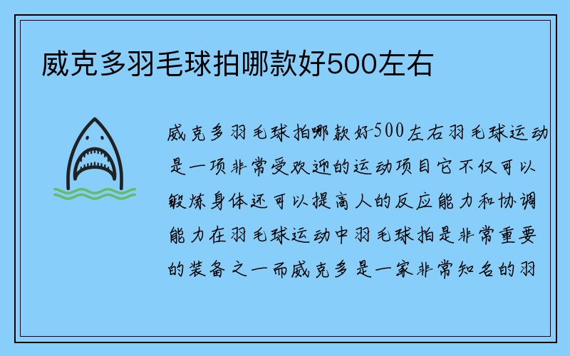 威克多羽毛球拍哪款好500左右