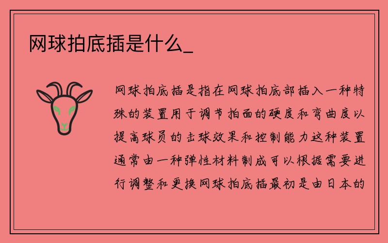 网球拍底插是什么_