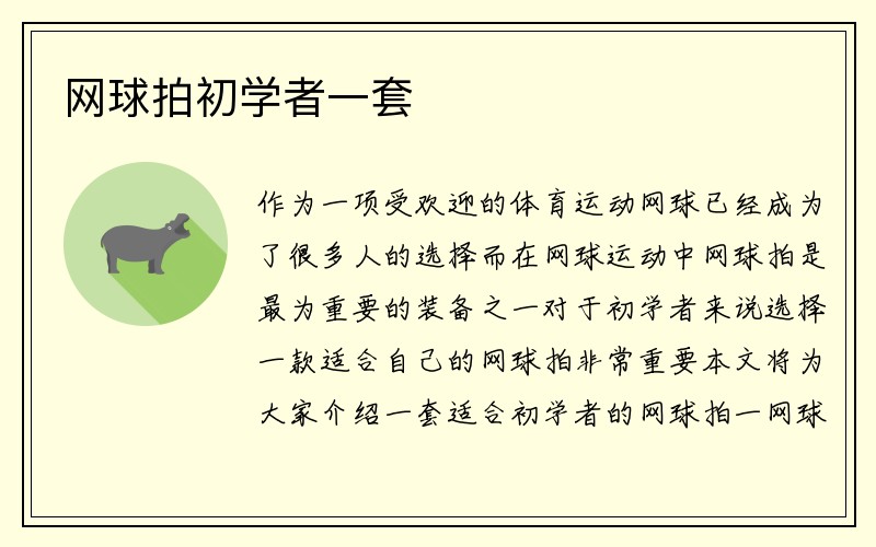 网球拍初学者一套